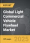 Light Commercial Vehicle Flywheel - Global Strategic Business Report - Product Thumbnail Image
