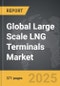 Large Scale LNG Terminals - Global Strategic Business Report - Product Thumbnail Image