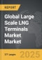 Large Scale LNG Terminals Market - Global Strategic Business Report - Product Thumbnail Image