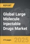 Large Molecule Injectable Drugs - Global Strategic Business Report - Product Thumbnail Image