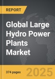 Large Hydro Power Plants - Global Strategic Business Report- Product Image