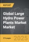 Large Hydro Power Plants Market - Global Strategic Business Report - Product Image