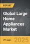 Large Home Appliances - Global Strategic Business Report - Product Thumbnail Image