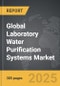 Laboratory Water Purification Systems - Global Strategic Business Report - Product Thumbnail Image