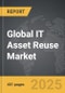 IT Asset Reuse - Global Strategic Business Report - Product Thumbnail Image