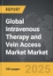 Intravenous Therapy and Vein Access Market - Global Strategic Business Report - Product Thumbnail Image