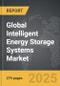 Intelligent Energy Storage Systems - Global Strategic Business Report - Product Thumbnail Image