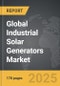 Industrial Solar Generators - Global Strategic Business Report - Product Thumbnail Image