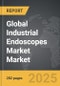 Industrial Endoscopes Market - Global Strategic Business Report - Product Thumbnail Image