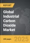 Industrial Carbon Dioxide - Global Strategic Business Report - Product Thumbnail Image