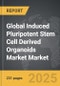Induced Pluripotent Stem Cell (iPSC) Derived Organoids Market - Global Strategic Business Report - Product Thumbnail Image
