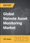 Remote Asset Monitoring - Global Strategic Business Report - Product Thumbnail Image
