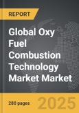 Oxy Fuel Combustion Technology Market - Global Strategic Business Report- Product Image