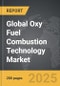 Oxy Fuel Combustion Technology - Global Strategic Business Report - Product Thumbnail Image