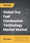 Oxy Fuel Combustion Technology Market - Global Strategic Business Report - Product Thumbnail Image