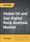 Oil and Gas Digital Rock Analysis - Global Strategic Business Report- Product Image