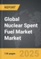 Nuclear Spent Fuel Market - Global Strategic Business Report - Product Thumbnail Image