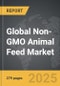 Non-GMO Animal Feed - Global Strategic Business Report - Product Thumbnail Image