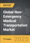 Non-Emergency Medical Transportation - Global Strategic Business Report - Product Thumbnail Image