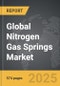 Nitrogen Gas Springs - Global Strategic Business Report - Product Thumbnail Image