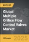 Multiple Orifice Flow Control Valves - Global Strategic Business Report - Product Thumbnail Image