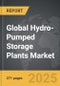 Hydro-Pumped Storage Plants - Global Strategic Business Report - Product Thumbnail Image