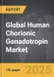 Human Chorionic Gonadotropin (hCG) - Global Strategic Business Report - Product Thumbnail Image