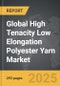 High Tenacity Low Elongation Polyester Yarn (HTLEP) - Global Strategic Business Report - Product Image