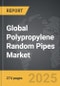 Polypropylene Random (PPR) Pipes - Global Strategic Business Report - Product Thumbnail Image