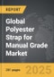 Polyester Strap for Manual Grade - Global Strategic Business Report - Product Thumbnail Image