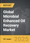 Microbial Enhanced Oil Recovery - Global Strategic Business Report - Product Thumbnail Image