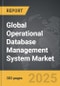 Operational Database Management System - Global Strategic Business Report - Product Thumbnail Image