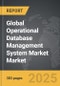 Operational Database Management System Market - Global Strategic Business Report - Product Thumbnail Image