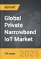 Private Narrowband IoT - Global Strategic Business Report - Product Thumbnail Image