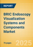 BRIC Endoscopy Visualization Systems and Components Market Outlook to 2033 - Endoscopy Visualization Systems and Endoscopy Visualization System Components- Product Image