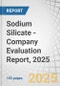 Sodium Silicate - Company Evaluation Report, 2025 - Product Thumbnail Image