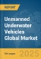 Unmanned Underwater Vehicles Global Market Opportunities And Strategies To 2034 - Product Thumbnail Image