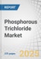 Phosphorous Trichloride Market by Application (Plastic Additives, Agrochemicals and Pharmaceuticals, Surfactants, Flame Retardants, Oil & Gas, EV Battery Chemicals, and Water Treatment), Grade (Industrial and Pharmaceutical), Sales Channel, and Region - Global Forecast to 2030 - Product Thumbnail Image