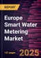 Europe Smart Water Metering Market Forecast to 2031 - Regional Analysis - by Type, Component, End User, and Meter Type - Product Thumbnail Image
