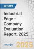 Industrial Edge - Company Evaluation Report, 2025- Product Image