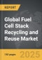 Fuel Cell Stack Recycling and Reuse - Global Strategic Business Report - Product Thumbnail Image