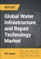 Water Infrastructure and Repair Technology - Global Strategic Business Report - Product Thumbnail Image
