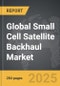 Small Cell Satellite Backhaul - Global Strategic Business Report - Product Thumbnail Image