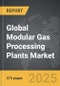 Modular Gas Processing Plants - Global Strategic Business Report - Product Thumbnail Image