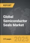 Semiconductor Seals - Global Strategic Business Report - Product Thumbnail Image