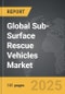 Sub-Surface Rescue Vehicles - Global Strategic Business Report - Product Thumbnail Image