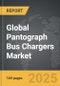 Pantograph Bus Chargers - Global Strategic Business Report - Product Thumbnail Image
