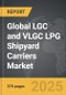 LGC and VLGC LPG Shipyard Carriers - Global Strategic Business Report - Product Thumbnail Image