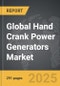Hand Crank Power Generators - Global Strategic Business Report - Product Thumbnail Image