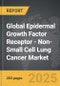Epidermal Growth Factor Receptor - Non-Small Cell Lung Cancer (EGFR - NSCLC) - Global Strategic Business Report - Product Thumbnail Image